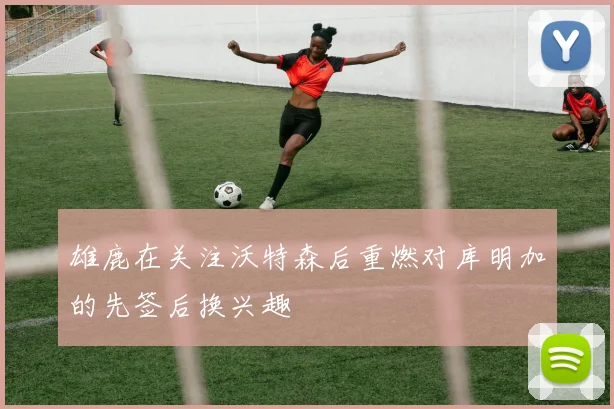 雄鹿在关注沃特森后重燃对库明加的先签后换兴趣
